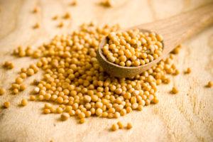 mustard-seed-image